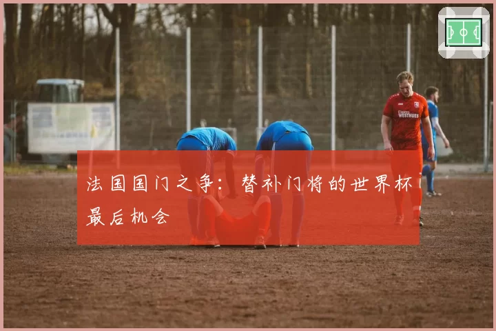 法国国门之争：替补门将的世界杯最后机会