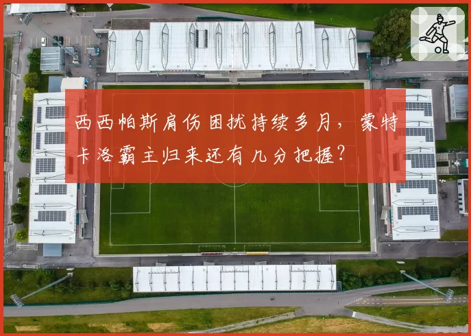 西西帕斯肩伤困扰持续多月,蒙特卡洛霸主归来还有几分把握?