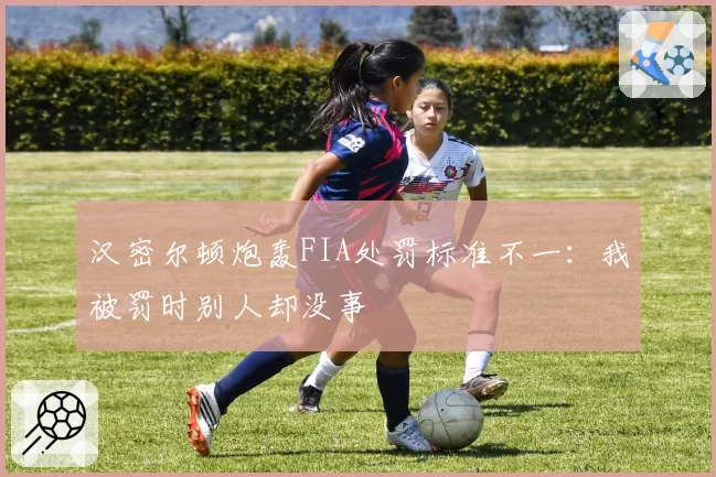 汉密尔顿炮轰FIA处罚标准不一:我被罚时别人却没事