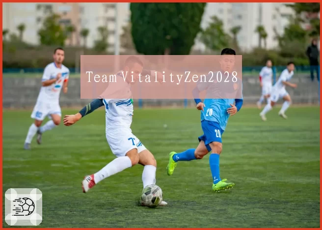Team VitalityZen2028