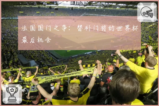 法国国门之争：替补门将的世界杯最后机会