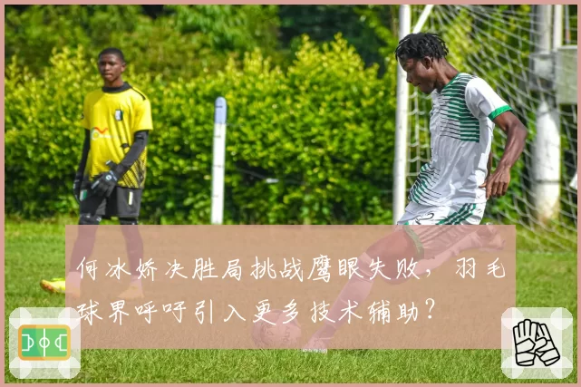 何冰娇决胜局挑战鹰眼失败，羽毛球界呼吁引入更多技术辅助？