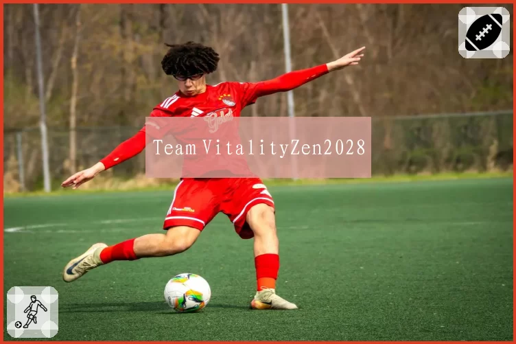 Team VitalityZen2028