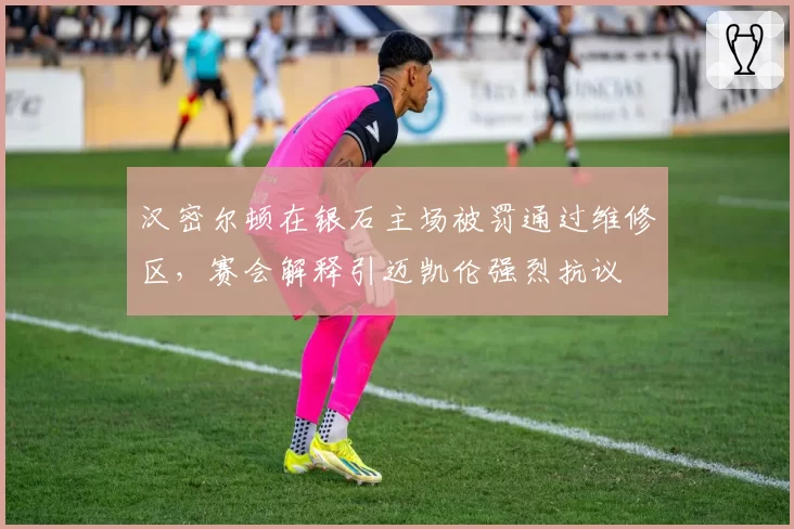 汉密尔顿在银石主场被罚通过维修区,赛会解释引迈凯伦强烈抗议